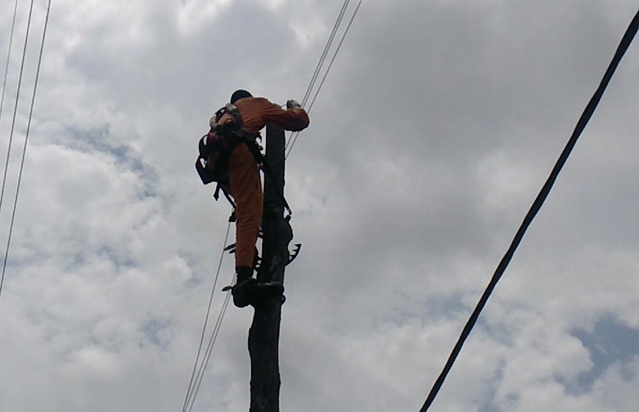 WhatsApp Image 2025-05-01 at 20.40.38 (2)